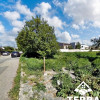Teren la intrarea in Ovidiu - pozitie ideala thumb 2